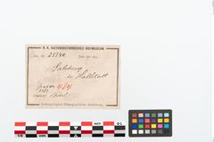 Etikett zu Bronzebrillenfibel (NHMW-PRAE-025140)